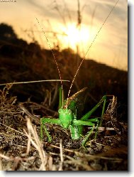 P�i z�padu slunce...