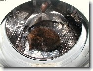 p������t........... nehlu�it