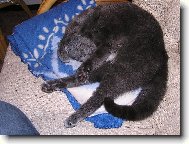 odpo��v�m, neru�it! :-) III