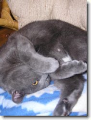 odpo��v�m, neru�it! :-) IV