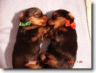 Je�t� jednu pusinku a jdem spinkat...