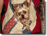 nen� nad pohodl�