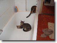 �ek�n� na koupel