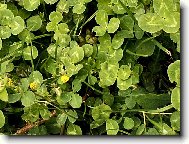 Najdi si sv�j �ty�l�stek pro �t�st�