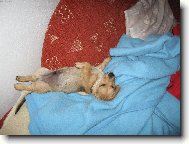 odpo�inek
