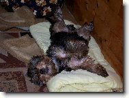 Neru�it spink�m!!!!