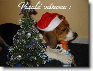 Vesel� v�noce!