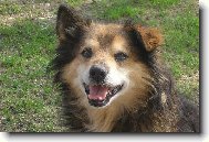 sm�ska - ale poveden�