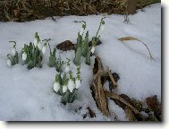 U� to nebude dlouho trvat a budeme tu zase