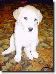 Te� jsem sice mal�,ale a� vyrostu to bude ze m� sle�na co?