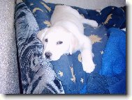 U� m� nechte kone�n� sp���t.