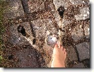 nejd��v po�adn� prot�hnout