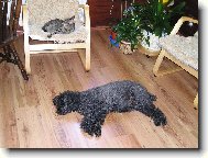 opova� se zvednout ...