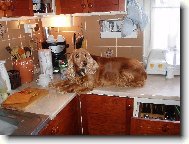 Tak kde m� to slibovan� mas��ko ?