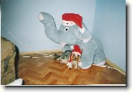 v�no�n� pozdrav