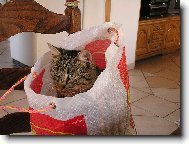 m� r�d ta�ky:)