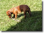 pohodi�ka na chat�