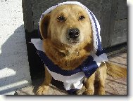 M�j nov� model od m� pani,kter� je 12