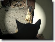 prvn� sezn�men�