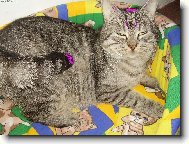 Tak u� dost u� m� nefo� mus�m si ustlat