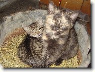 To je kr�sa...... :)