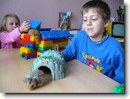 Hryzalka a St�apo�ek