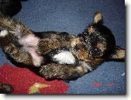 Hl�d�m si svoje miminka, jsem hodn� maminka.