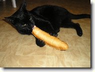 Pum�kova ve�e�e