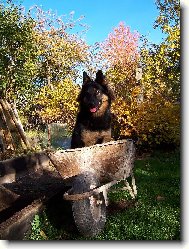 tvrd� pr�ce k�mo!