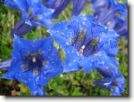 Modr� je dobr�...