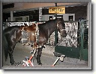 I TAK SE D� PARKOVAT.......