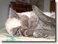 Odpo��v�m, neru�it!!!