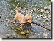 Na velikosti nez�le��...