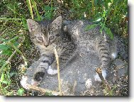 Poprv� na slun��ku