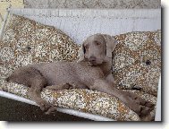 takhle spink�m