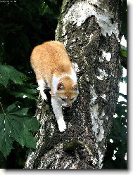 �PATN� VOLBA BARVY MASK���