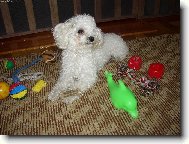 Poj�te si se mnou n�kdo hr�t!