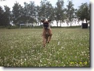 Na�e Ajla let� na Acanu.