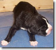 Prvn� pohled na sv�t