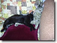 Dosti pohodln� span� :-D