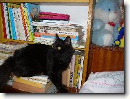 Mike� - �ten��em