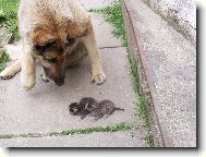 co m� to d�l�te!?