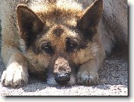 tady hl�d�m j���