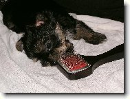 Na�e �t���tko