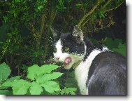 copak bude dobr�ho ?