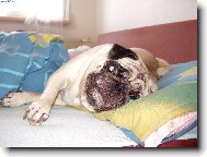 V pe�in�ch je nejl�p  :)))