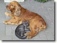 Maj� se moc r�di