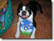 Moje nejmilej�� hra�ka