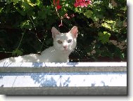 z�ti�� s mu�k�ty