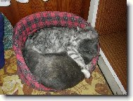 "L�ska je l�ska"